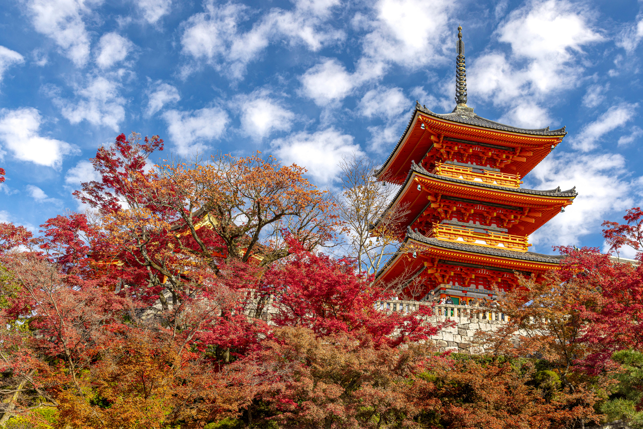 Golden Route Japan – Blooming Flowers 2025 (NARA – OSAKA – KYOTO – NAGOYA – MOUNT FUJI – TOKYO)